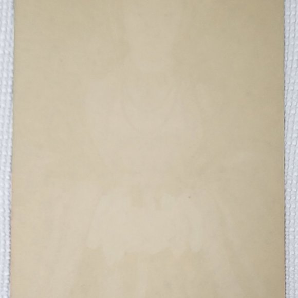 ANNE OF CLEVES by HANS HOLBEIN Treasures of Art Painting Print Louvre, Paris - Picture 7 of 10